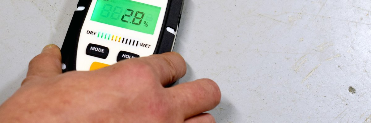 Schimmelpilzschäden